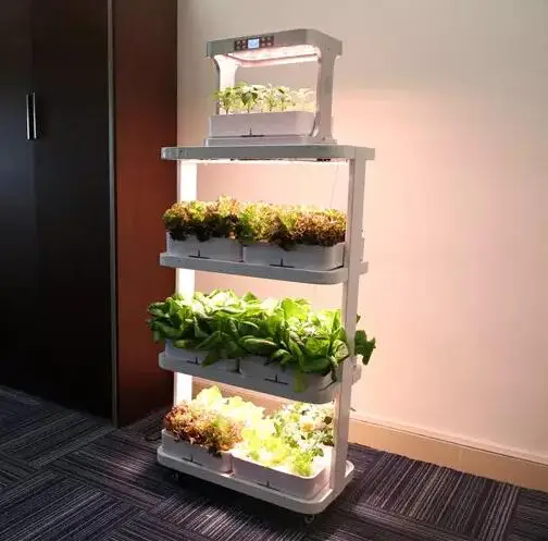 14 hours on 10 hours off timer 72 holes plant rack growing hydroponics indoor grow plant cabinet