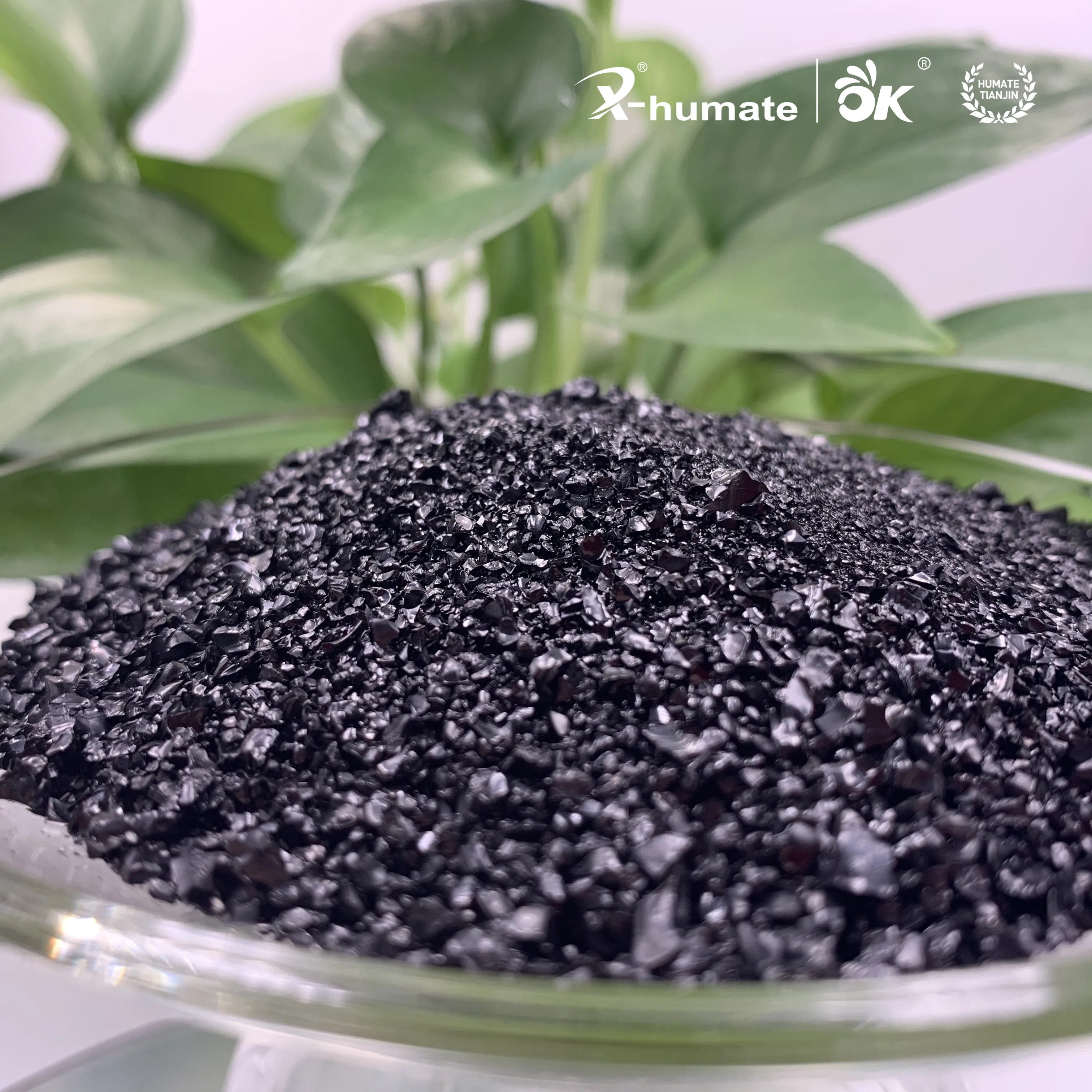 X-humate ISO Factory Supply Mineral Source Potassium Fulvic Acid Granular