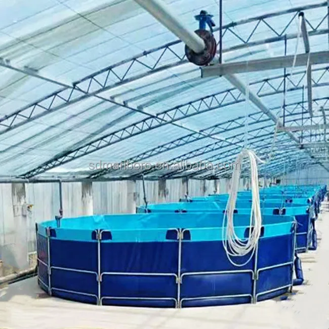Профессиональный резервуар SDM для рыбного хозяйства, система рециркуляции аквакультуры