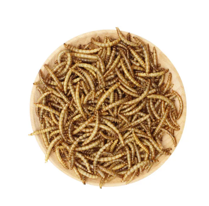 Wholesale High Protein Pet Food Dried Mealworms Freeze yellow breadworm