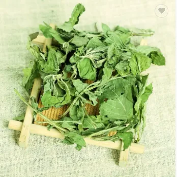 Wholesale Dried mint leaves Tea Bulk dried Peppermint tea factory supply