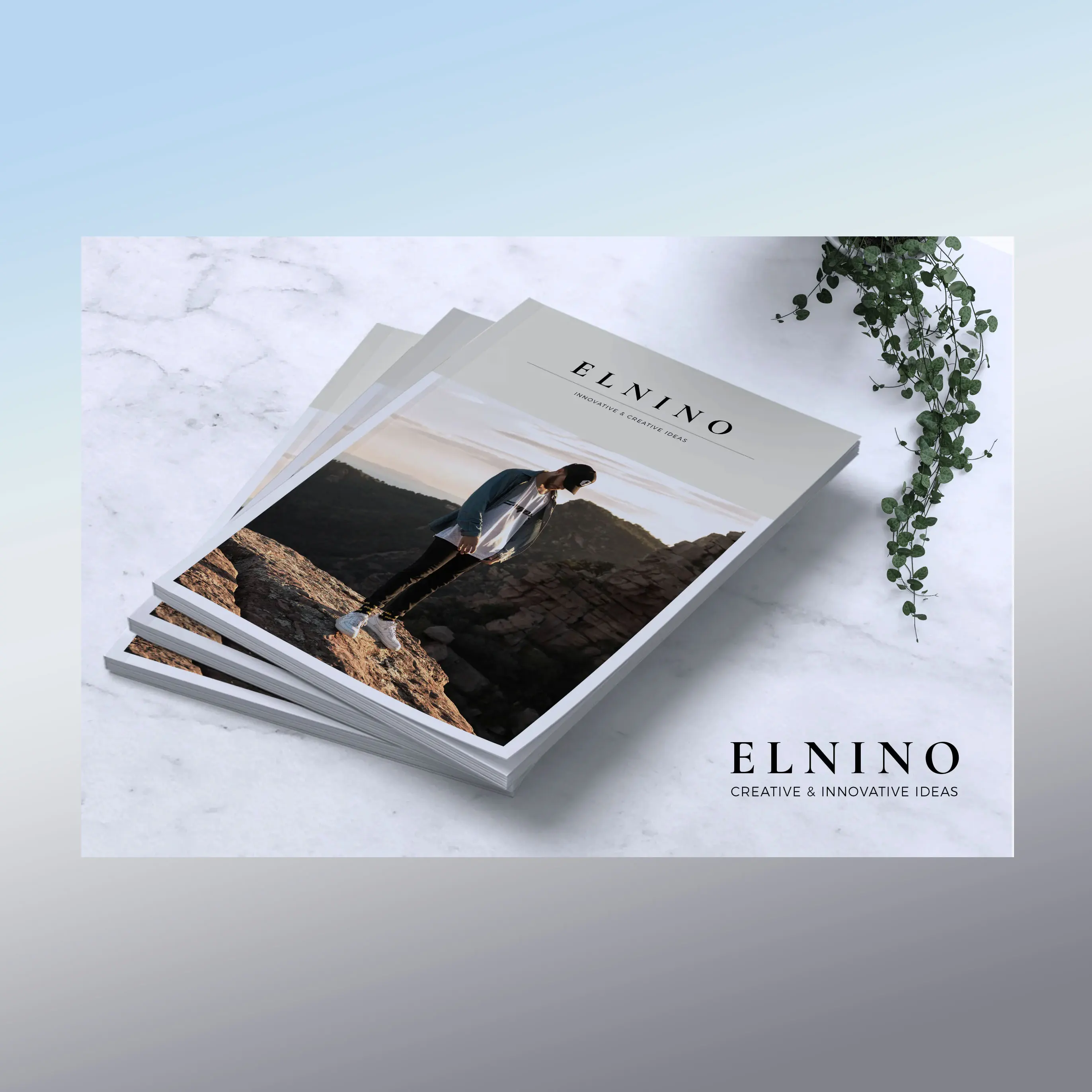 
Catalogue realization 