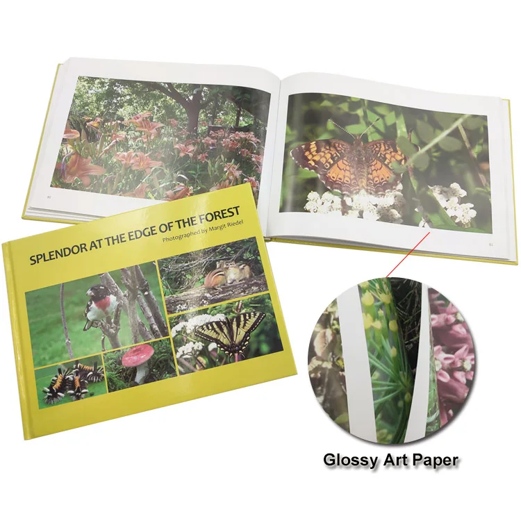 Custom Book Service Hard Cover Photography Graphic Books Full Color Softcover Hardcover Photo Book Printing
