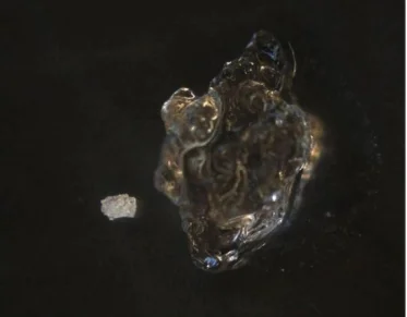 SAP Super Absorbent Polymer For GFRC glass-fiber reinforced cement  Concrete  additive