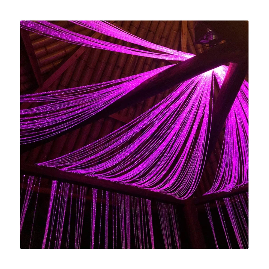 TXPOF interior lighting fiber optic light generator led fiber optic dance whip light home pmma fiber