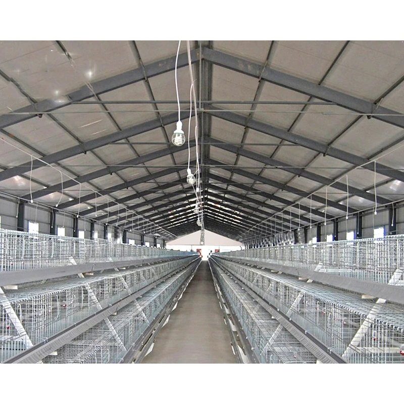 Commercial Steel Structure Chicken Houses Professional Design Of Chicken Coops 1000 Chicken