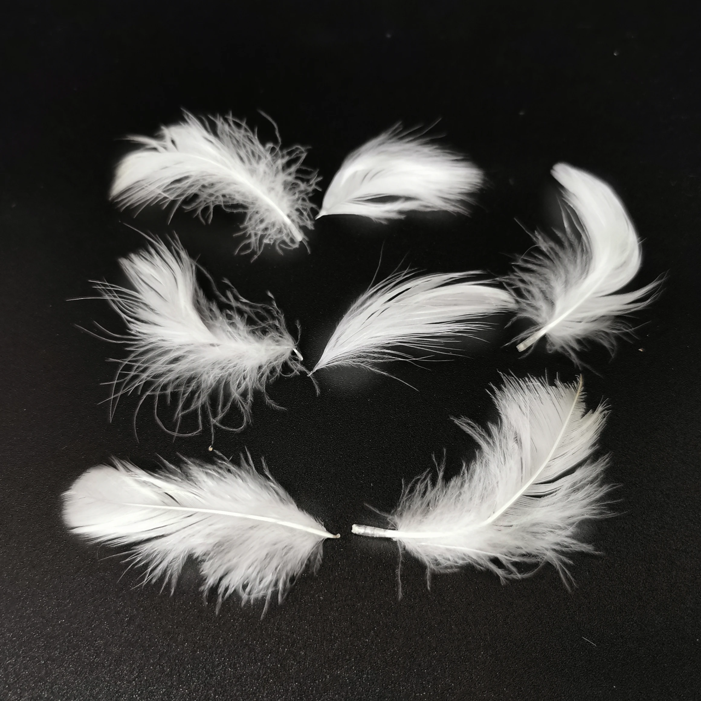 
China Wholesale White Down Washed White Price Feather Goose 