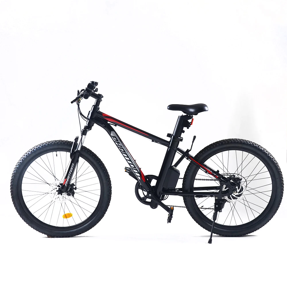 Hidden battery 750W motor 14ah 26 inch Electric Mountain Bike for sale