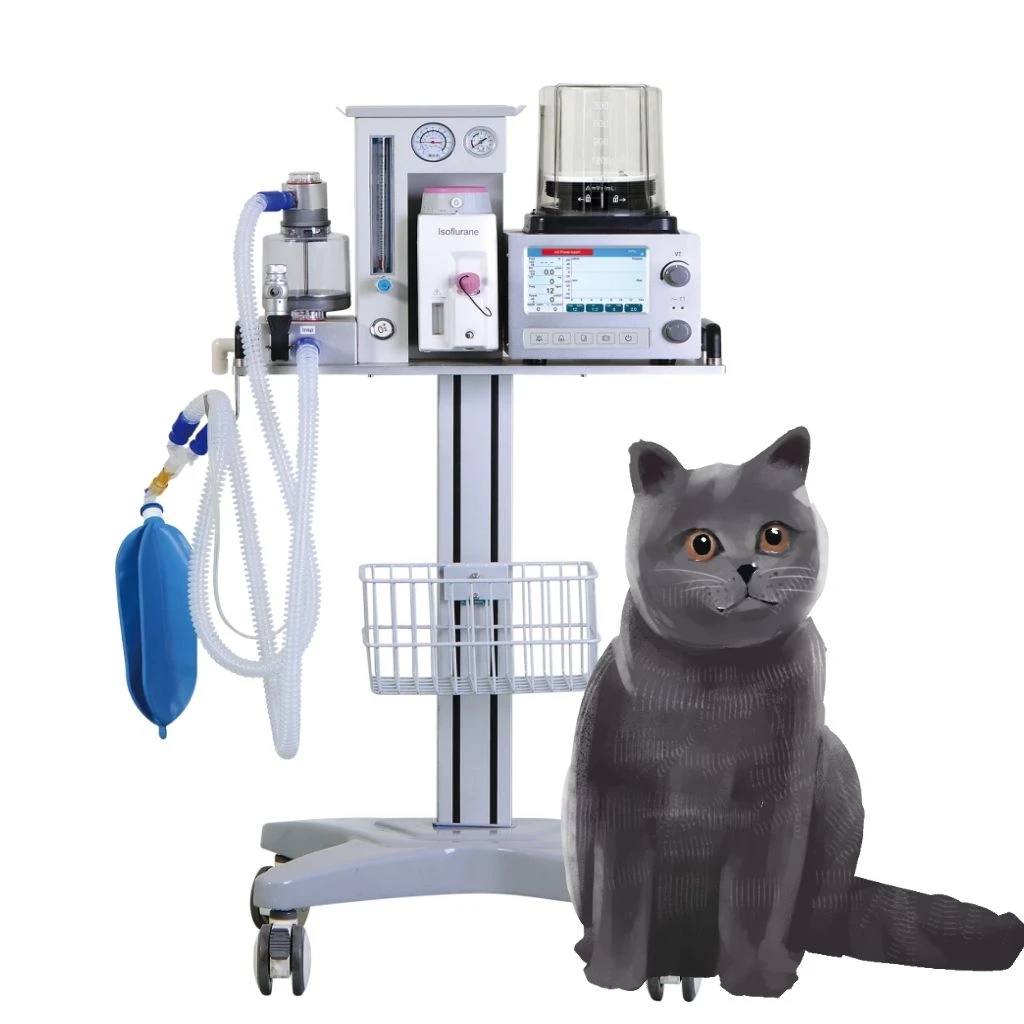Efficiently Medical veterinary anesthesia device for cat dog  pets