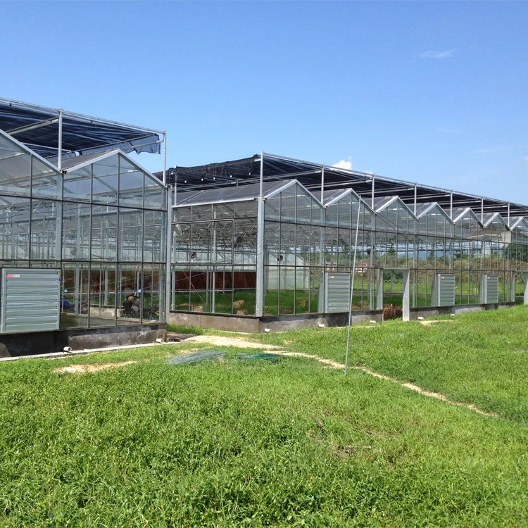 Four Season Low Cost Agricultural Fertigation Irrigation System Pc Sheet glass Greenhouse