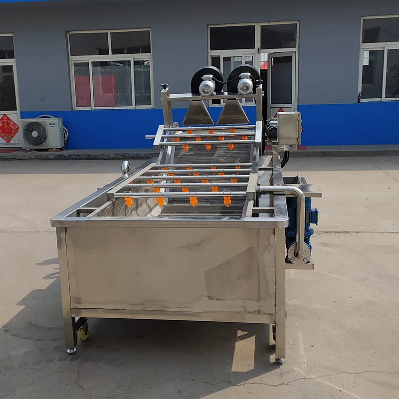 Industrial Air Fruit Bubble Washing Machine Bubble Washer Machine