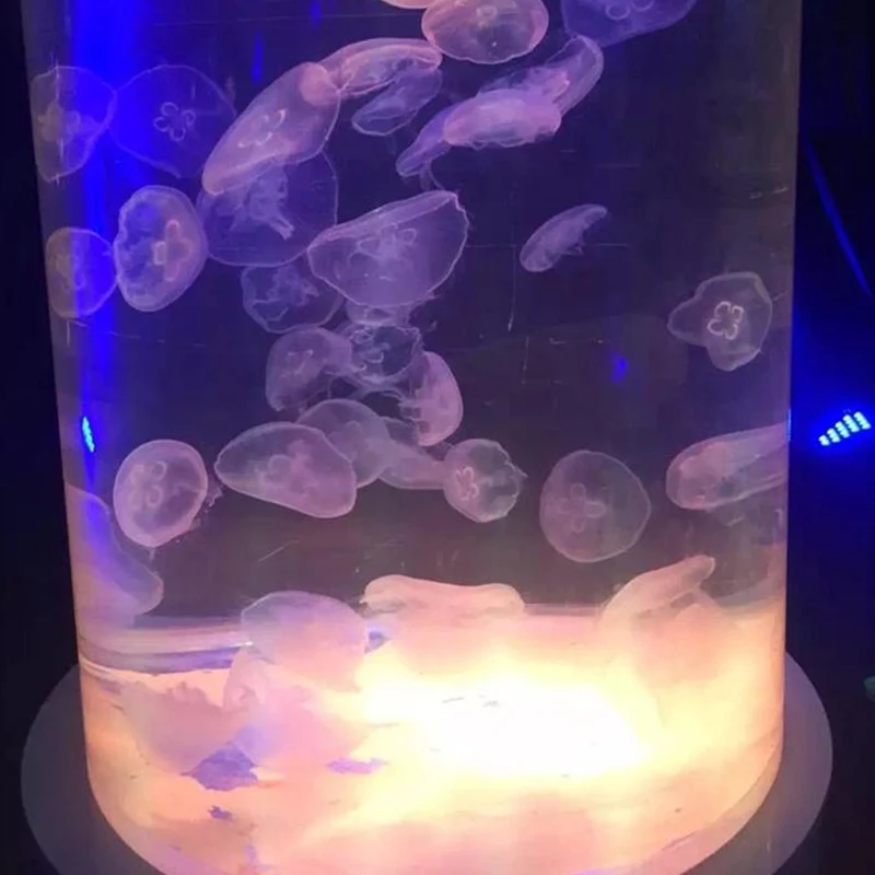 Competitive price premium cylinder plastic acrylic aquarium jellyfish