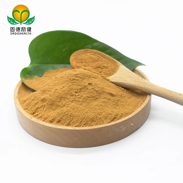 OEM Manufacturer Organic Cordyceps Militaris Extract Powder