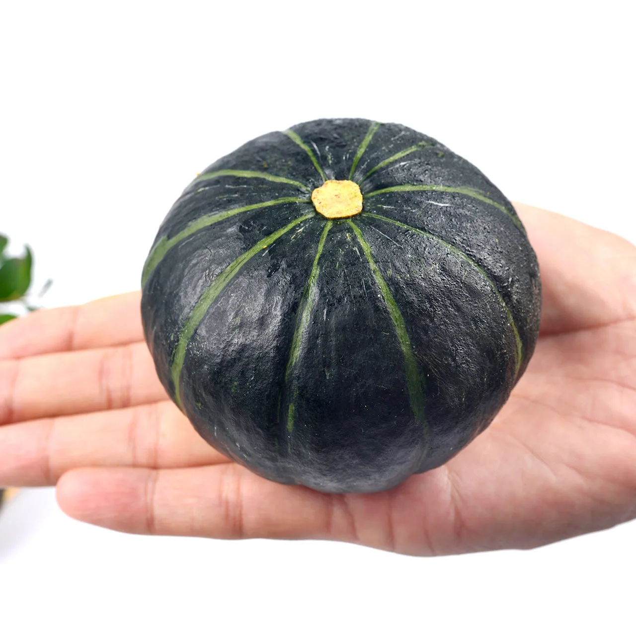 High Nutritional Value Fresh For Sale Pumpkins Edible Pumpkin