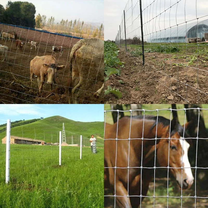 Farm Fencing Wire Mesh
