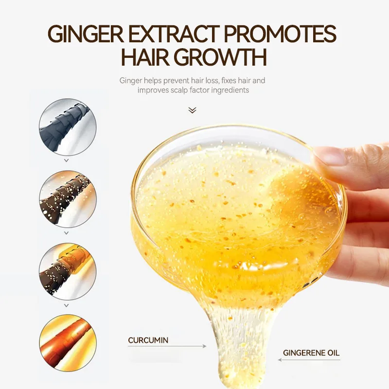 Wholesaler Nature organic 7 days ginger hair growth Shampoo Anti-Hair Loss private label OEM Ginger shampoo