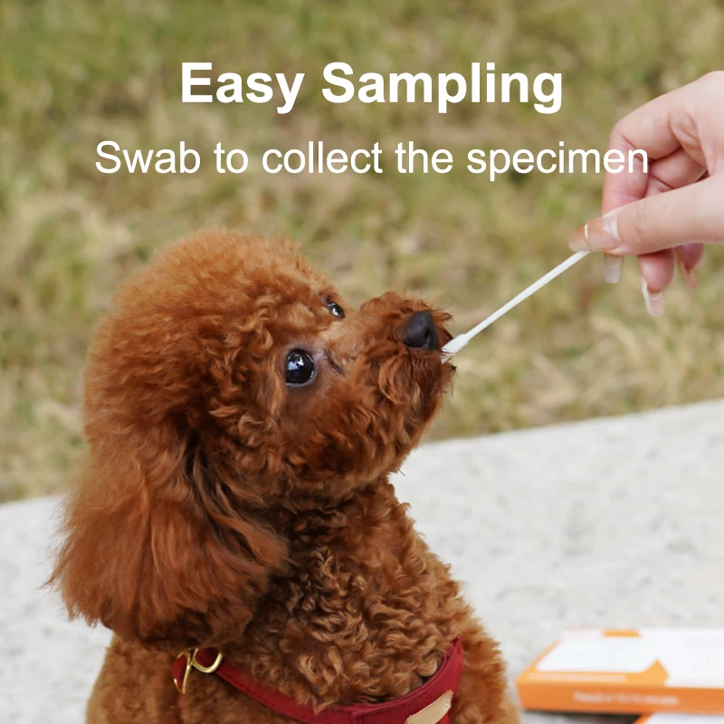 Parvovirus/Distemperment/Giardia Test Kit Cdv-Cpv Gia Ag Test Kit Cpv And Cdv Dog Test Kits