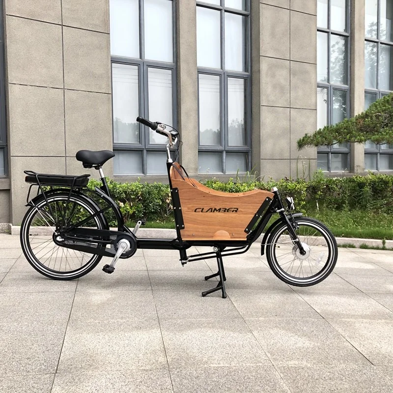 Электрический легкий грузовой велосипед Nexus с 7 скоростями, изготовленный из высококачественного городского велосипеда высокой проходимости/велосипеда/педикюра/грузового трицикла