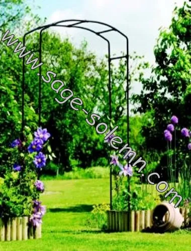Metal Garden Arch with Single Gate/door,Garden Gate