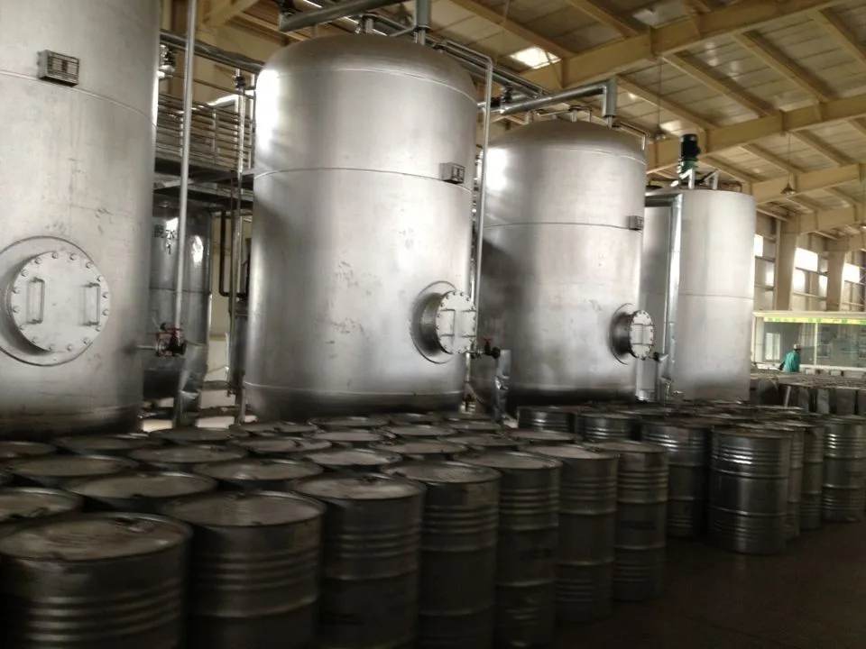 Hot Sale pure plant body massage ginger Oil essential oil soothing body SPA and pain relief essential oil