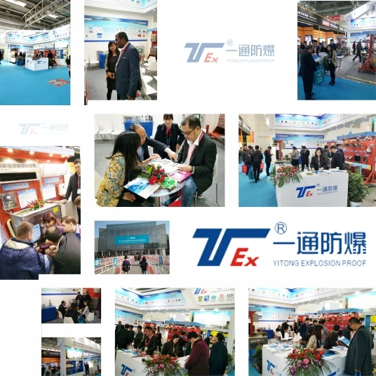 Drilling Rig Control Host DC12V 24V IP54  Portable Explosion proof DVR Explosion proof Control Host for Drilling Rig