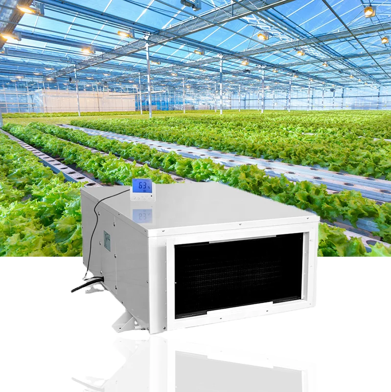 240L/D Professional Dehumidifier Manufacturers Commercial Ceiling Type Dehumidifier Ceiling Mounted Dehumidifier for Greenhouse
