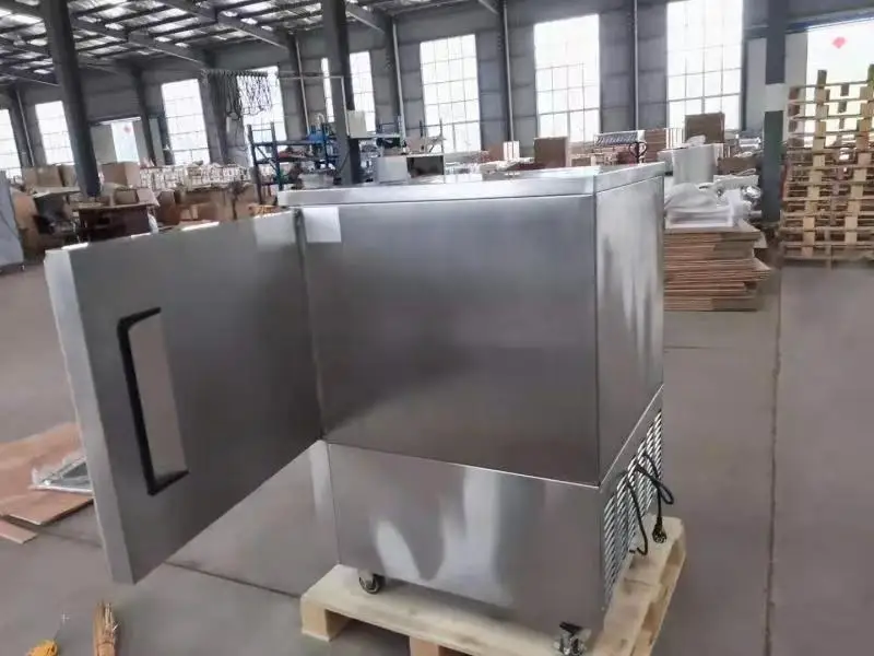 15 Plates Cold Storage Blast Freezer Instant Freeze Cabinet with 300 L Volume Deep Freezer