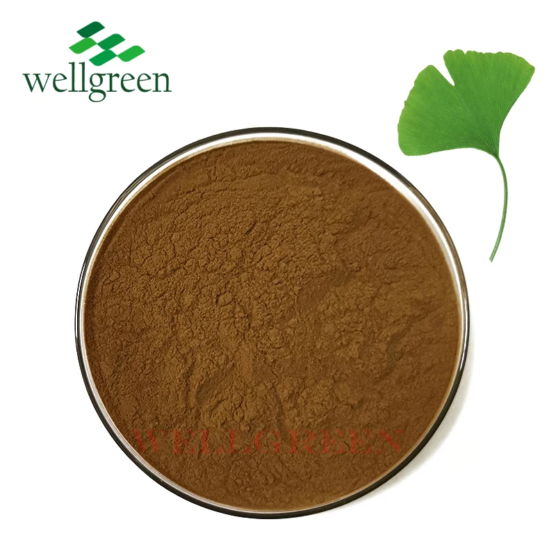 
High Quality 100% Natural Dried Ginkgo Biloba Leaves Extract Powder Flavones 24% Lactones 6% 