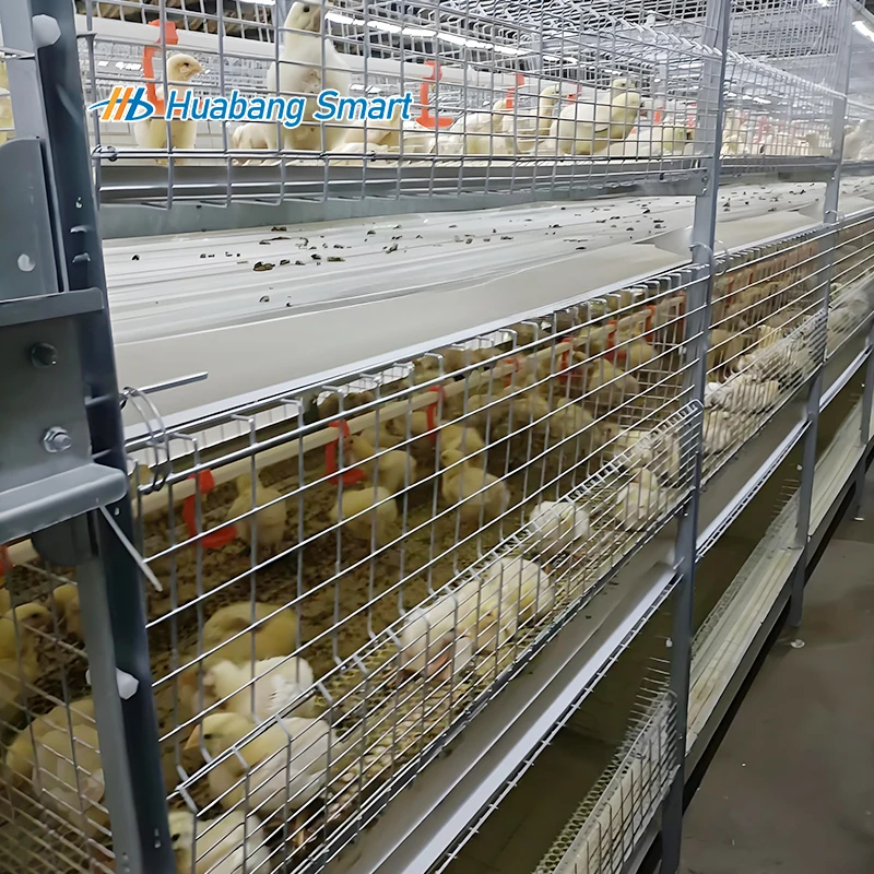 Best Selling Products in Africa-Other+Animal+Husbandry+Equipment Poultry Cage