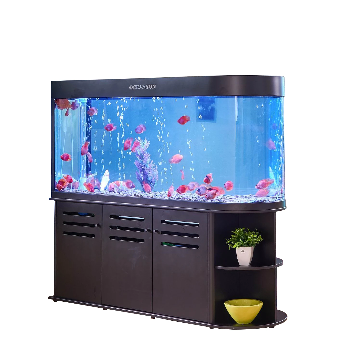 bullet shot fish tank design with bottom filter & pump fish tank aquarium glass buy aquarium aquatic