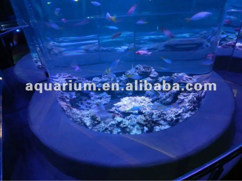 Fancy Clear Large Round Acrylic Fish Tank Aquarium