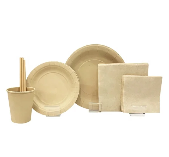 
Wholesale Recycled Biodegradable Disposable Pure Nature Bamboo Paper Plates Set 