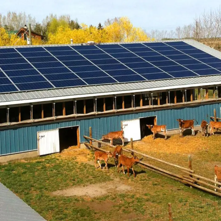 Dawnice 500kw 600kw 700kw 800kw Hybrid Solar Inverter1000kw 1000 KW Solar System PCS Power Conversion System Price With Bypass