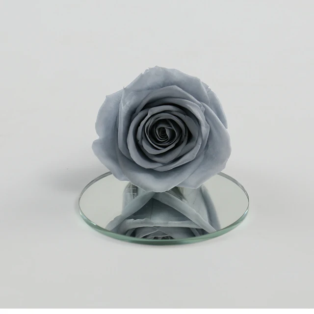 yunnan factory wholesale grade a 5-6 cm dried preserved flower roses  head eternity rose