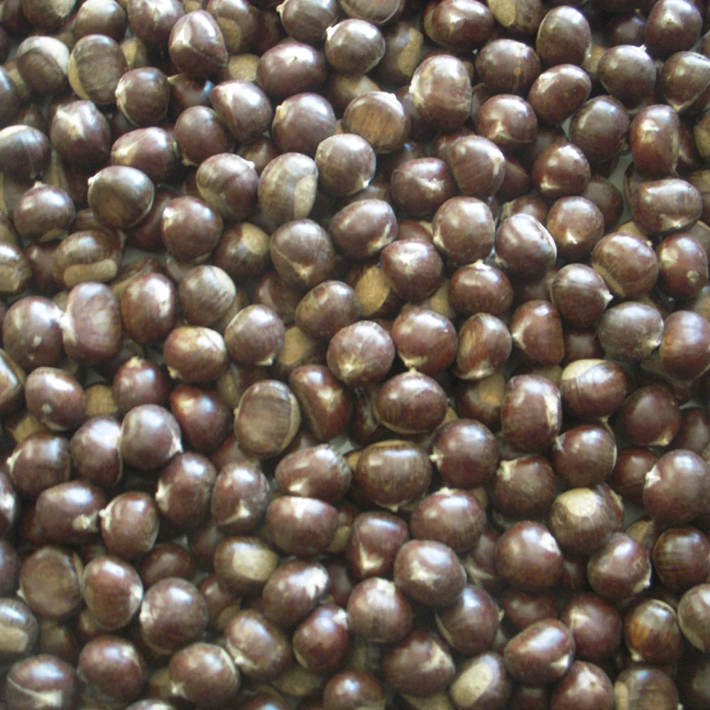 Organic Sweet Yanshan Fresh Chest Nuts