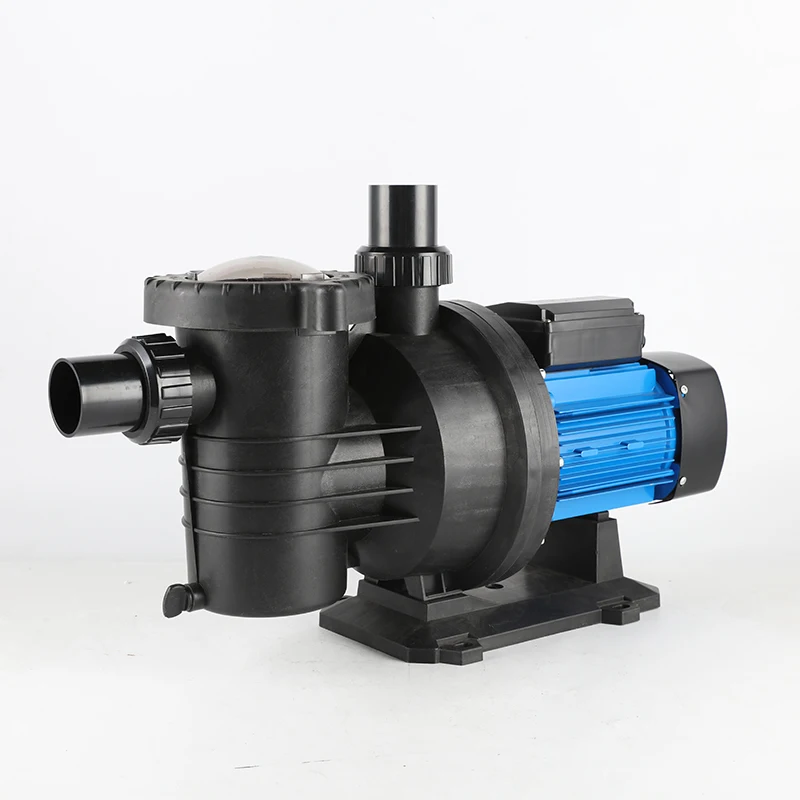 RAS volume High Pressure steel brushless 1HP dosing water circulation Stainless Steel heater hot filter dc Swimming Pool Pump