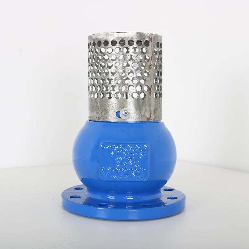 Water Supply System DN50-DN600 Duction Iron Foot Check Valve with Strainer