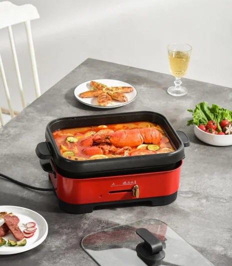 Health Grill with Raclette Grill Fondue Combination Temperature Measurement featuring four adjustable temperature settings