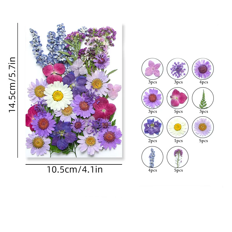 hot sale Nail Mini Resin Flowers Art natural rreal dry pressed purple flowers plant grass for mothers day gifts