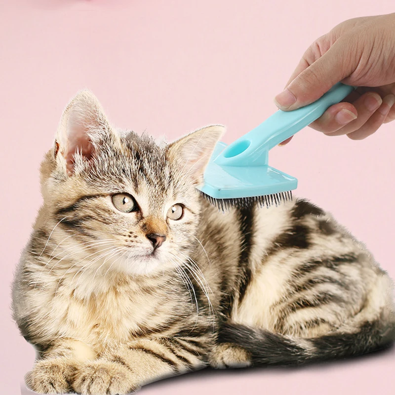 dog grooming comb wholesale cat massage comb dogs brush hair removal cat brush grooming pet brush pet comb hair