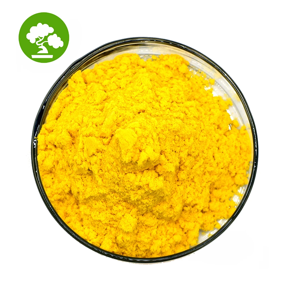 Factory Sales Food Additives Orange Cheddar Cheese Powder