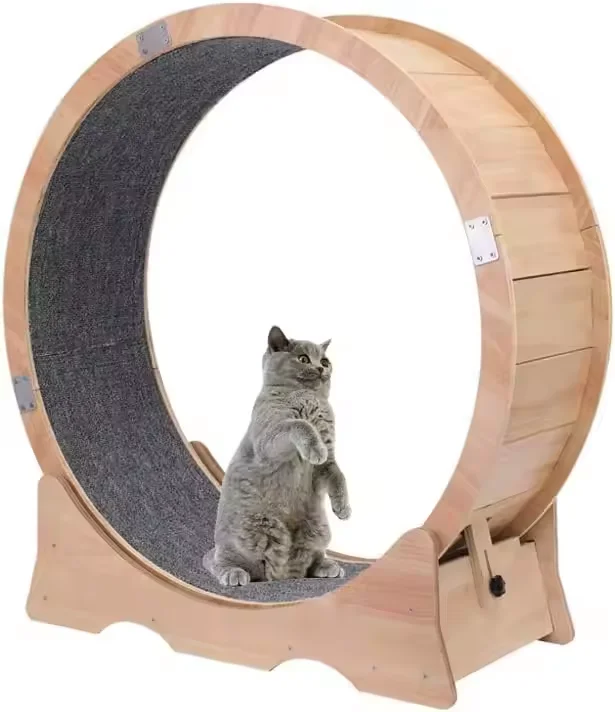 Колесо для кошек большое для домашних кошек, кошек, для бега, легко собранных, влагостойкая маленькая беговая дорожка для домашних животных, беговое колесо
