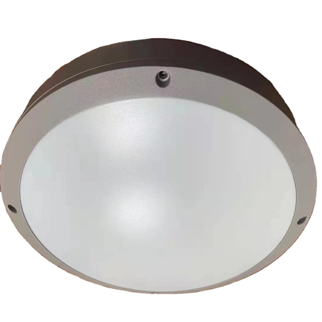 E27 Type IP65 Outdoor Blukhead LED waterproof light High End Black Color Finishing AL Body Material PC Cover Wall Light