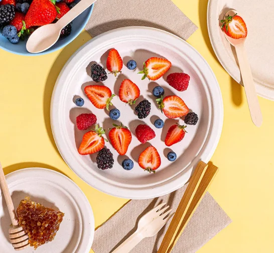 disposable compostable sugarcane pulp plate bagasse plate biodegradable tableware