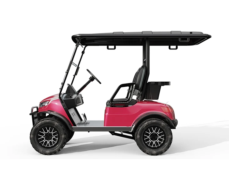 Cengo NL-JA2.G CLUB CAR 2 seater Passenger Golf Car Electric Golf Cart with 4KW Motor for Sightseeing