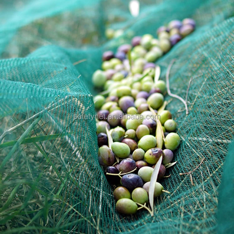 Factory Price 100% Virgin HDPE Agriculture Tree Olive Mesh Netting Fruits Harvest Collection Olive Net