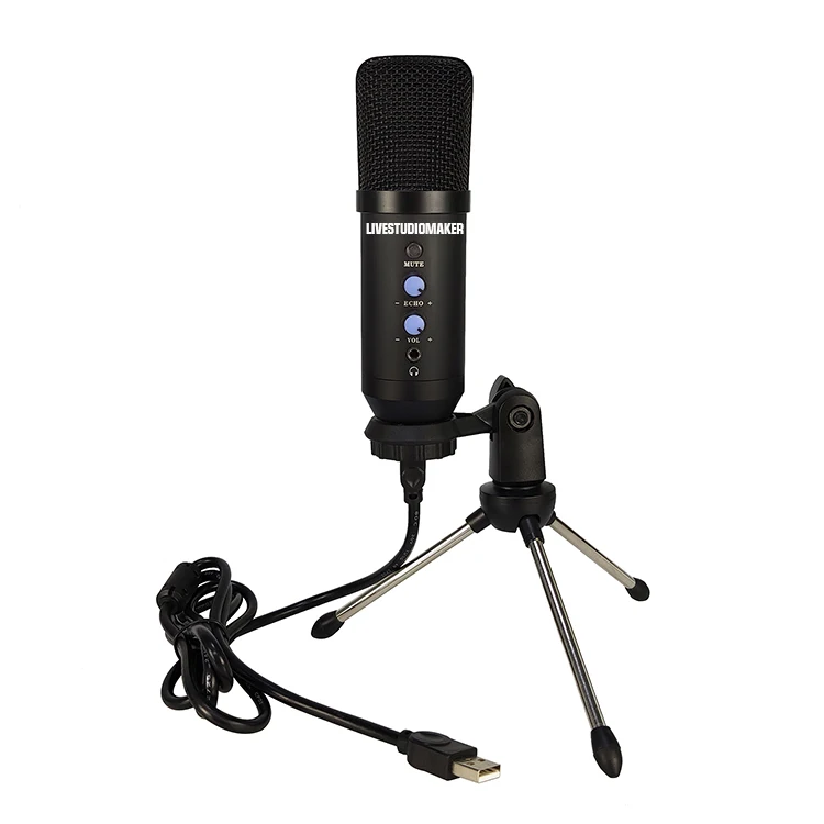 Usb Microphone for Zoom and Google Duo Phantom Microphone Soundking Microphone Recording Voice Over