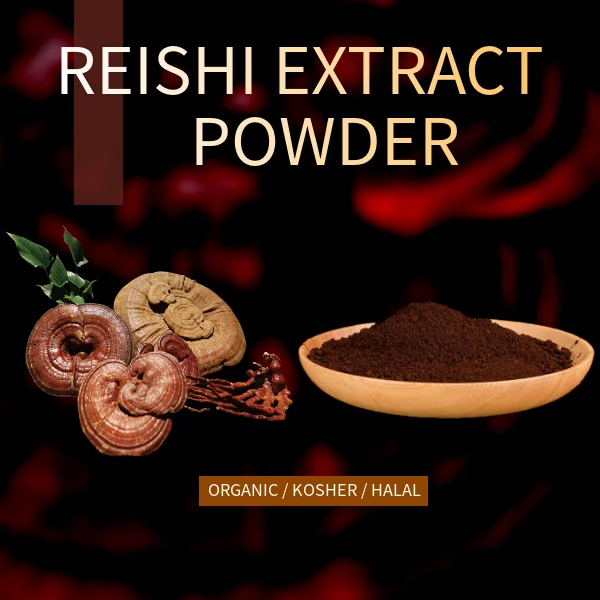 Hot Selling Red Reishi Mushroom Extract Powder