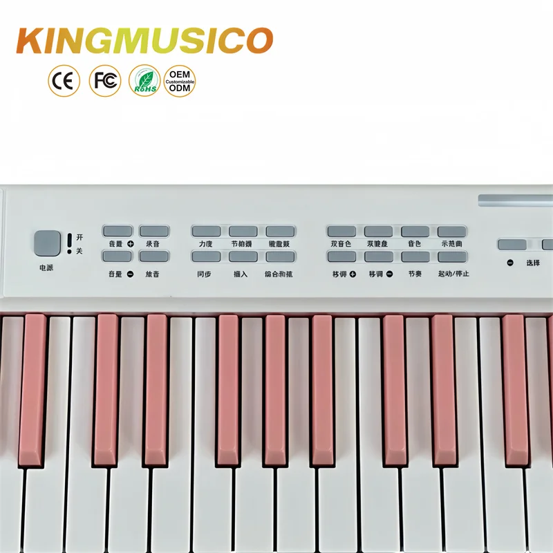 Lightweight and Portable Design  Perfect for Beginners  Folding Digital Piano 88 Keys weighted