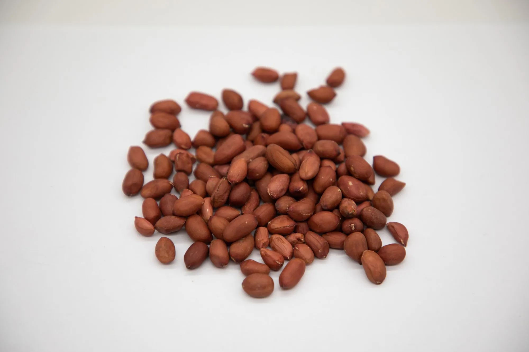 Healthy snack top grade organic peanut kernels peeled peanuts nuts in bulk from Uzbekistan manufacturer